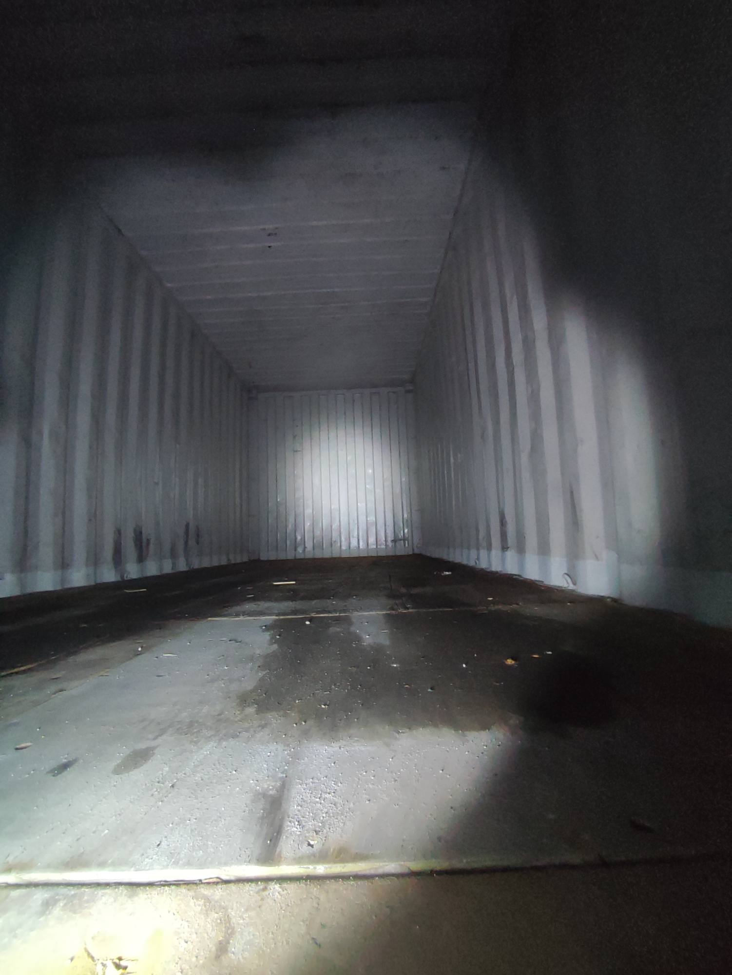 IMG_20240131_174117(1)